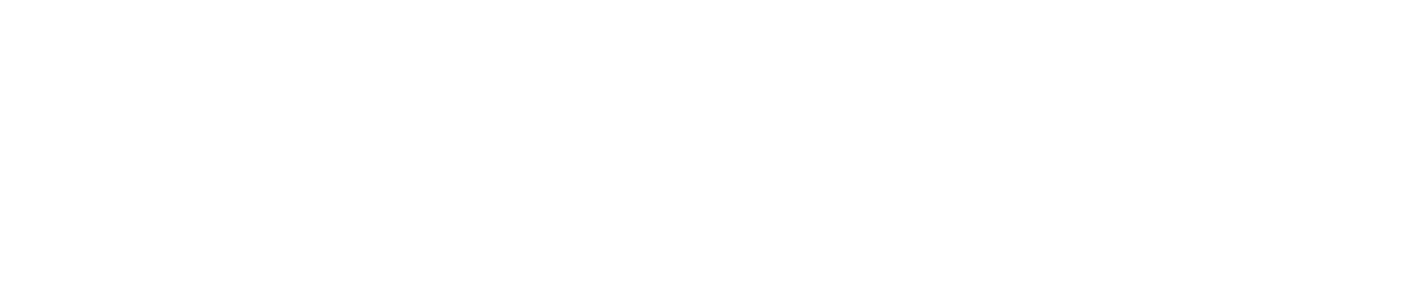 SEIT100 Logo