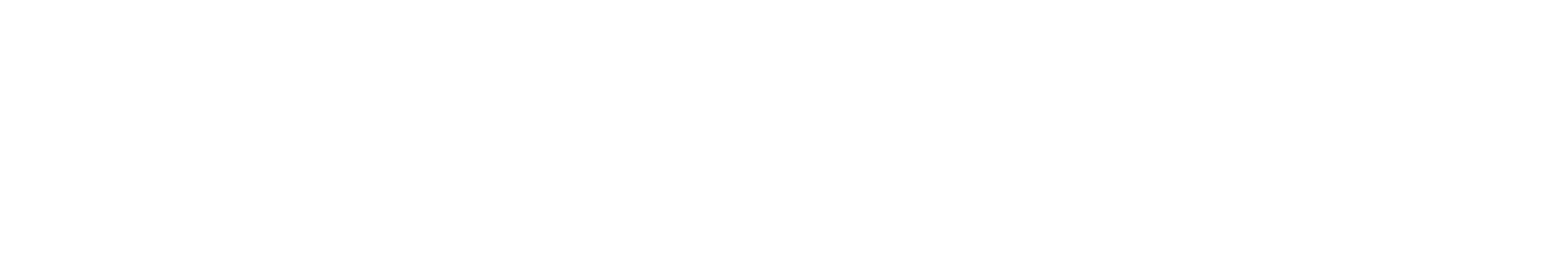 SEIT300S Logo
