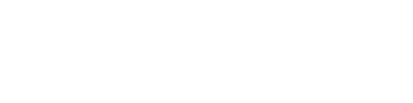 SEIT500 Logo