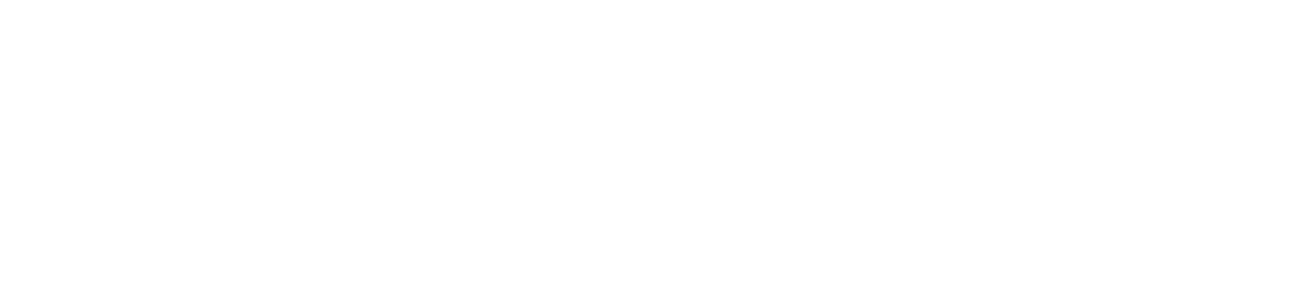 SEIT F2000R Logo